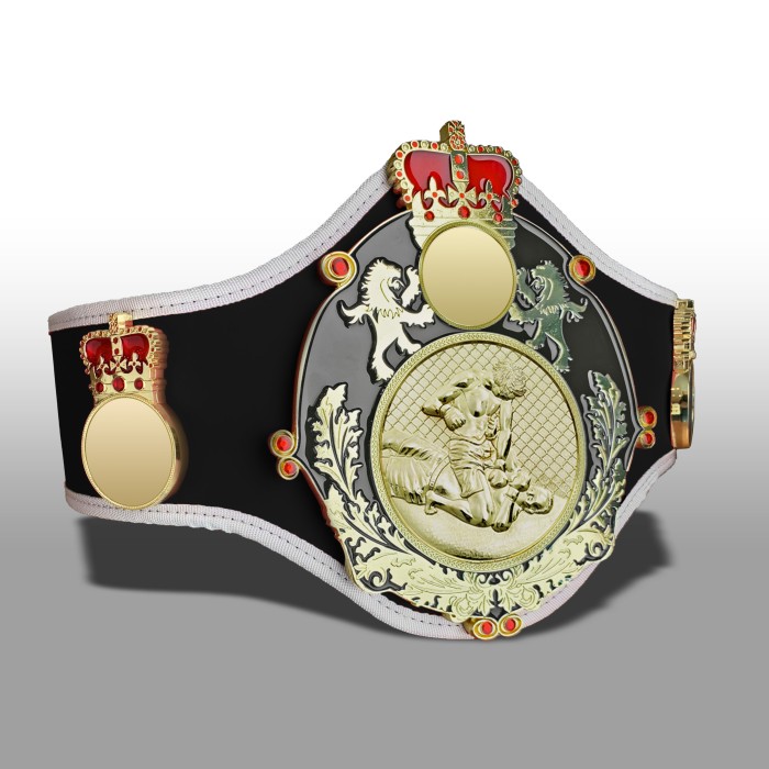 QUEENSBURY PRO LEATHER MMA CHAMPIONSHIP BELT - QUEEN/B/S/MMAG  -10+ COLOURS